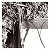 Untitled 10 from Detritus