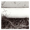 Untitled 05 from Detritus