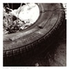 Untitled 08 from Detritus