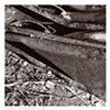 Untitled 09 from Detritus