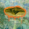 Hidden Landscape