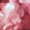 Detail of Filter #2