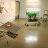 Nurture/Alter, Northeastern Illinois University