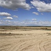 End-of-Winter Bare Field