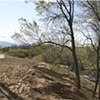 Spring Irrigation Water