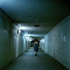 Collective Stills (2006)