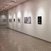 Curatorial Projects