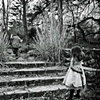 A Child's Dream II