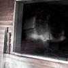 Untitled 15