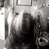 Untitled 11