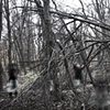 Untitled 5