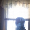 Untitled 4