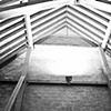 Untitled 18