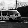 Cowouflage  