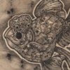 Feesh