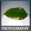 Photography