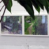 Seeing Forest and Trees