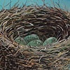 twig house
