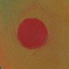 Juggler
