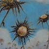 sweet thistle