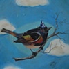 bittersweet bird: one