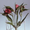 Fil Vase