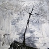 Tree at night