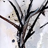 Two Trees