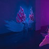  solo show (overall images) 