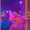 Bell