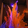 detail: fire, water, and smoke

2011
