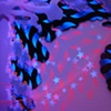 "what is Written" (detail 8)