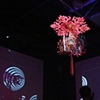 Installation with freetime #2