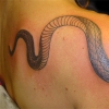 Snake