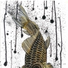 Brown Koi - 2006