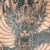 Dragon back
