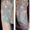 Dragon koi- Cover up