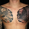 hawk, snake, lotus and water