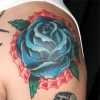 Blue rose