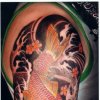 Koi & cherryblossoms