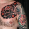 skull & cherryblossoms