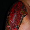 Koi & peony