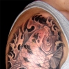 Koi - black and grey