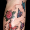 Butterflys &  flowers