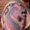 Koi