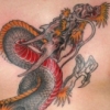 Dragon front