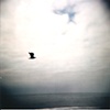 Leaving Home