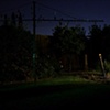 Yard Scene