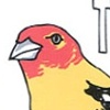 Western Tanager