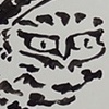 BURROWING OWL